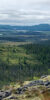 Forfaits de chasse au gros gibier — Caribou Cove Outfitters – Caribou Cove Outfitters